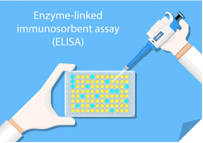 Enzyme-linked Immunoassay