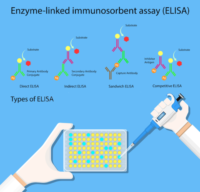 The Types of ELISA
