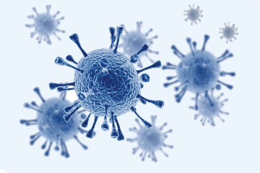 Human Metapneumovirus