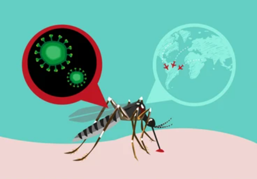 Zika Virus Infection